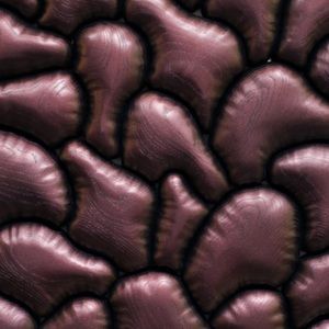 Meet your Posher, Simon